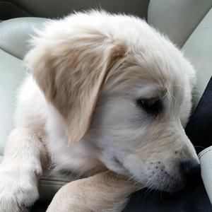 Meet your Posher, Elena